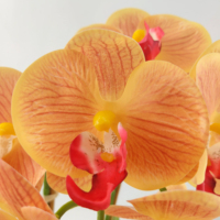 Set Pot Bonsai Phalaenopsis, gaya Nordic untuk rumah ruang tamu dekorasi meja untuk Halloween Hari Valentine wisuda