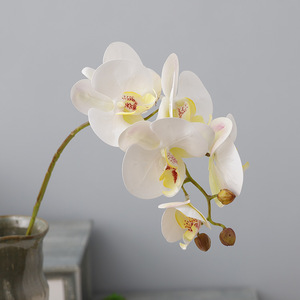 ดอกกล้วยไม้ฟาแลนนอปซิสประดิษฐ์แบบขายส่ง 6 หัว สัมผัสเหมือนจริง ตกแต่งโรงแรม บ้าน สำนักงาน วัสดุอ่อนนุ่ม เป็นมิตรกับสิ่งแวดล้อม เหมาะสำหรับใช้ในเชิงพาณิชย์ - Product Image 1