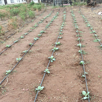 Système d'irrigation goutte à goutte complet pour ferme, kit pour 1 hectare, tuyaux de 0,3 mm, tube d'irrigation de 16 mm, irrigation de jardin, serre, économie d'eau