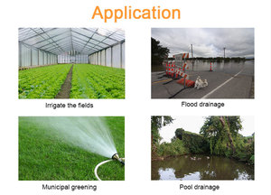 Pompa Portatile per Acqua Pulita da 4 Pollici, Prevalenza 38m, Alta Portata, Alimentata da <span class=keywords><strong>Motore</strong></span> <span class=keywords><strong>Honda</strong></span> GX390 - Product Image 6