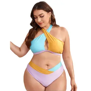 Bikini con Tanga de dos piezas para mujer, traje de baño de dos piezas con cintura alta y cuello Halter