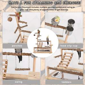 Dayanıklı kuş oyun parkı spor <span class=keywords><strong>stand</strong></span>ı Perches besleme fincan salıncak merdiveni tepsi Lovebirds papağanlar için 45x37x26 CM - Product Image 3