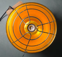 Lampe chauffante infrarouge halogène antidéflagrante 300W IP65 étanche 110V AC pour éleveuse, lumière chaude pour poulets et chiens