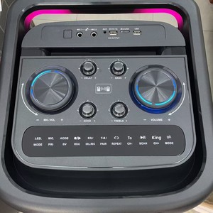 OEM Özel Çift 12 İnç Taşınabilir Kablosuz Hoparlör Sistemi, 2 Kablosuz Mikrofonlu ve Şarj Edilebilir Pilli 5.1 Surround Ses Kutusu - Product Image 6