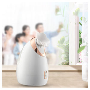 Face Spa Stoom <span class=keywords><strong>Home</strong></span> Cool Draagbare Gezichtsstomer Multifunctionele Gezichtsmassage Met Stoomboot Volledige <span class=keywords><strong>Machine</strong></span> - Product Image 1