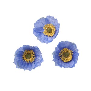 Cabezas de flor artificiales de amapola de olmo, 0.55 cm de diámetro, 2 g, poliéster, material para manualidades DIY, para horquillas, decoración de bodas - Product Image 4