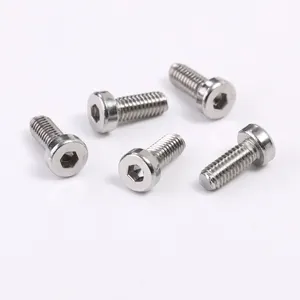 Stainless Steel 304/316 Hex Socket Head Cap Screws DIN912 DIN7984 Allen Bolts Plain Finish ISO Standard