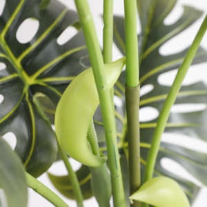 Plantes artificielles décoratives en gros Monstera <span class=keywords><strong>Albo</strong></span> Petite <span class=keywords><strong>plante</strong></span> artificielle Monstera Arbre en plastique en pot Accessoires Monstera - Product Image 4