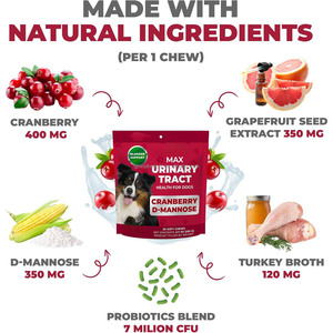 OEM Max Strength Dog Urinary Tract Wellness Aid Cranberry D-Mannose Bladder Maintenance Booster Soft Chews Care Aid 30ct - Product Image 2