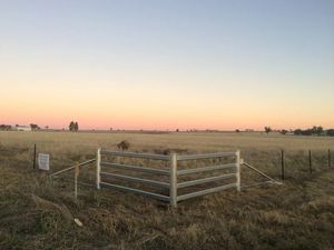 Paneles y Puertas de Cerca Metálica para Ganado, con Recubrimiento en Polvo, para Corrales, Granjas, Yards y Cercas para Caballos, Fáciles de Montar - Product Image 6