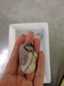 Congelados oyster <span class=keywords><strong>carne</strong></span> de calidad superior vivía oyster - Product Image 4