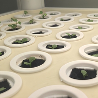 Serre intérieure automatique NFT, système hydroponique vertical, étagère de culture de graines de légumes multicouche