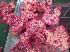 Máquina para quitar Peel de <span class=keywords><strong>Granada</strong></span>, para extraer ardillas para el procesamiento de jugo de <span class=keywords><strong>granada</strong></span> - Product Image 3