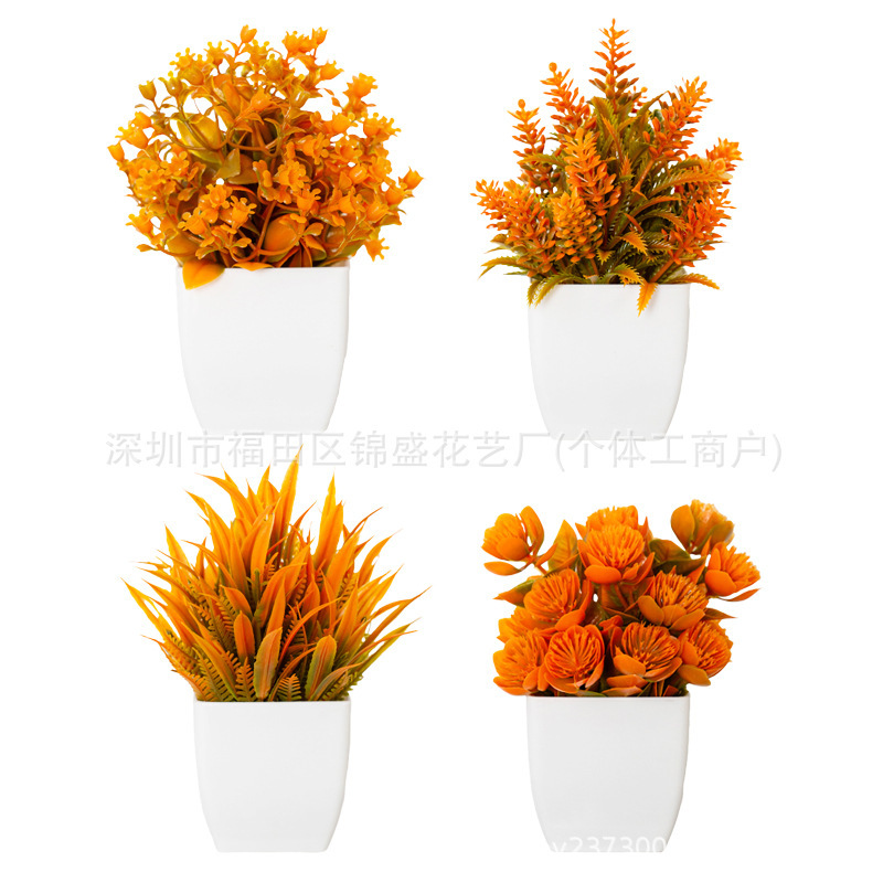Cuatro plantas en macetas en colores otoñales [pequeños cuadrados blancos]