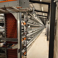 Équipement d'élevage de poulets entièrement automatique, cage à poulets en batterie de type H, cage à poules pondeuses avec système d'abreuvement, d'alimentation et d'évacuation des excréments