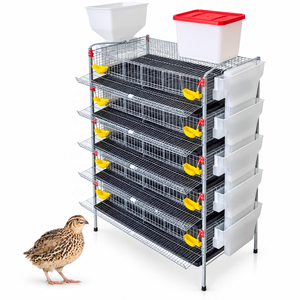 Nouvelle cage en treillis métallique galvanisé de type H avec système d'alimentation et d'abreuvement pour oiseaux (cailles) – Capacité 5 et 6 niveaux - Product Image 1
