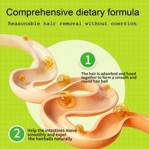 VitaFit Polvo Probiótico para Perros y Gatos, Suplemento para la Salud Digestiva, Mejora la Flora Intestinal, Apoyo Inmunológico, Digestión Sensible, 3G/Unidad - Product Image 3
