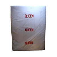 5Mil Queen Size Heavy Duty Imperméable Anti-Bug LDPE Matelas Housse Jetable Sac de Protection pour Oreiller et Stockage Mobile