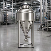 Fermenteur conique à double paroi 100L en acier inoxydable brossé, cuve sous pression pour la fermentation domestique du vin et de la bière