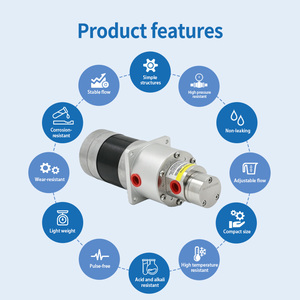 Bomba de engranajes magnética de bajo flujo 0.3ml/rev para transferencia de fluidos, agua y aceite, con motor de escobillas 63 para dosificación - Product Image 3