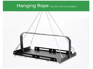 Lampe horticole de croissance LED, 50/100/200/300W, spectre complet, éclairage pour serre/chambre de culture hydroponique, semis et <span class=keywords><strong>plante</strong></span> - Product Image 4
