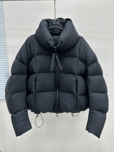 Janveny 2026 Neue Winter Kurze Cropped Bread Puffer Jacke für Damen mit Stehkragen, Kordelzug, Dick Gefüttert, Warm, Gesteppt, Weiße Entendaunen Mäntel - Product Image 4