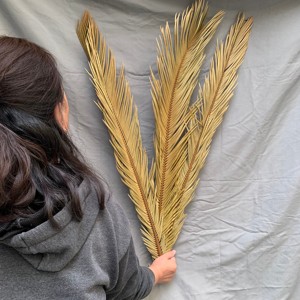 KEWEI T483 Hojas Secas de <span class=keywords><strong>Cycas</strong></span> y Palma Más Vendidas, Planta Natural de 80 cm, Decoración Boho para Bodas, Navidad y Pascua - Product Image 4