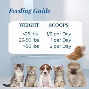 Poudre multivitaminée pour chiens en marque propre avec probiotiques, soutient l'intestin, les articulations et la mobilité, soulage les démangeaisons, la peau et le pelage, avec des minéraux et des antioxydants - Product Image 3