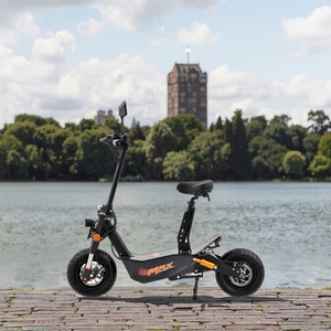 Motor sin Escobillas EEC de 2000W 3000W para Scooter de Movilidad, Bicicleta con Llanta de 10 Pulgadas, Certificación CE, Alcance de 60 km, R-ES103 2000W 48V 2 Ruedas - Product Image 3