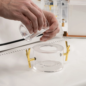 ชุดไม้จับอักษรยิวแบบกำหนดเอง Mayim Achronim Lucite Judaica พร้อมด้ามจับรูปกิ่งไม้ - Product Image 6