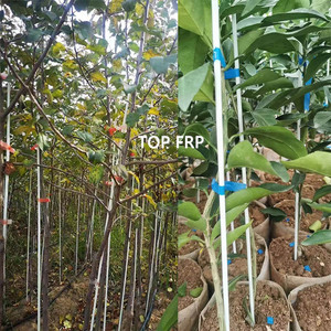 Poteau de support de petite serre arquée en fibre de verre Poteau de support de légumes de serre Poteau en fibre de verre - Product Image 5