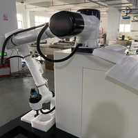 Kit de bras robotique collaboratif pour la préhension et le placement, palettiseur, charge utile de 30 kg à 50 kg, cobot à 6 axes pour la manutention flexible, l'empilage et la palettisation