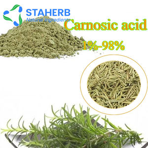 Rosmarinus officinalis L. Poudre acide Carnosic CAS d'extrait de <span class=keywords><strong>Romarin</strong></span> Rosemarinus Rosemarinus 3650 - Product Image 4