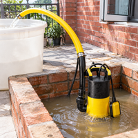 Pompe submersible à profil bas activée par flotteur 400W pour l'évacuation de l'eau de patio et l'entretien de mini-étangs