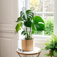 Treillis métallique décoratif pour plantes en pot, support de grimpement pour plantes d'intérieur, facile à assembler, vente en gros