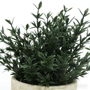 Mini plantes artificielles en petit pot en pulpe pour décoration intérieure, plante verte simulée en pot, petit ornement, <span class=keywords><strong>romarin</strong></span> - Product Image 3