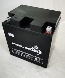 Nouvelle batterie de moto PALMA <span class=keywords><strong>YTX30L</strong></span>-<span class=keywords><strong>BS</strong></span> 12v 30AH sans entretien avec 1 an de garantie - Product Image 5
