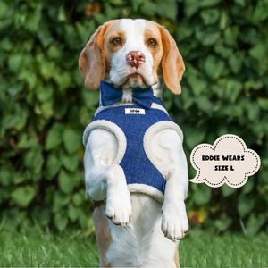 Suministros personalizados para mascotas sin tirones ajustable exuberante Denim Jean vaquero tela oso de peluche perro Collar Correa y arnés conjunto de pajarita - Product Image 4