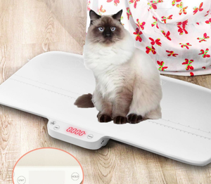 Balance numérique de haute précision pour adultes, animaux de compagnie, chiots, chats, chiens, bébés, avec fonction de mesure de la taille - Product Image 3