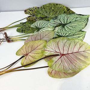 Orejas <span class=keywords><strong>de</strong></span> <span class=keywords><strong>elefante</strong></span> simuladas Variegated Artificial Alocasia Macrorrhiza 3D Hoja en forma <span class=keywords><strong>de</strong></span> corazón Tropical Palm Hermosa <span class=keywords><strong>Planta</strong></span> artificial - Product Image 5