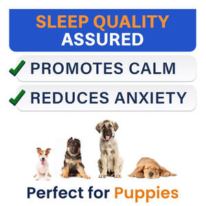 OEM/ODM Yüksek Proteinli Tahılsız Evcil Hayvan Besin Takviyeleri Çift Etkili Mide-Bağırsak Sağlığı Önleyici Mide Probiyotiği - Product Image 6