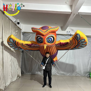 Costume de mascotte <span class=keywords><strong>gonflable</strong></span> de parade, costume de hibou <span class=keywords><strong>gonflable</strong></span> ambulant - Product Image 5