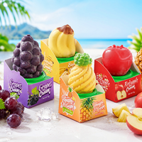 Produits à succès pour les grossistes : Chocolat au lait, glace aux fruits virale, glace aux fruits 3D – Vente directe usine
