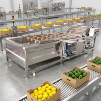 Industriële vibrerende gemotoriseerde aardappel- en groentewasmachine met droogfunctie voor fruit en maïs