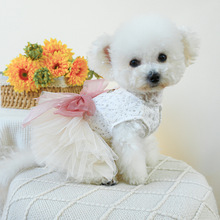 Nuovo Design personalizzato per animali domestici vestito da sposa estivo da regina per cani alla moda per feste abito in pizzo stile animali da compagnia <span class=keywords><strong>vestiti</strong></span> per cani - Product Image 4