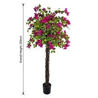 Fabrication de plantes artificielles, Bougainvillier artificiel de 200 cm avec fleurs épanouies dans un pot en ciment pour la décoration de bureau et de maison