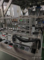 Machine de remplissage et d'emballage automatique multi-têtes à haute vitesse pour coupes de fruits surgelés (2, 4 ou 6 lignes)