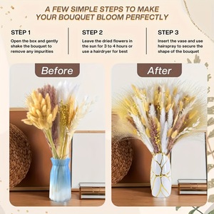 Ramo de Hierbas Secas Mixtas: Pampas, Trigo, <span class=keywords><strong>Avena</strong></span> y Plumas de Conejo <span class=keywords><strong>para</strong></span> Decoración Boho del Hogar y Arreglos Florales de Boda - Product Image 3