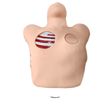 Modèle de formation médicale pour la ponction thoracique et le drainage, simulateur de drainage pleural