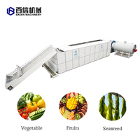 Vente directe usine : Machine de séchage automatique à bande transporteuse en acier inoxydable pour légumes, herbes, cardamome, dattes rouges et manioc